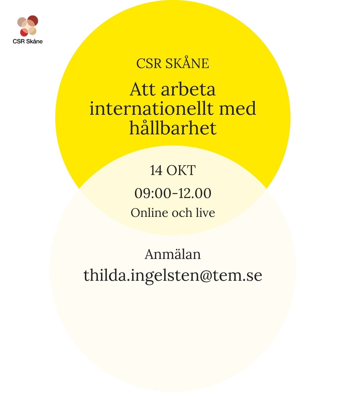 Att arbeta internationellt med hållbarhet